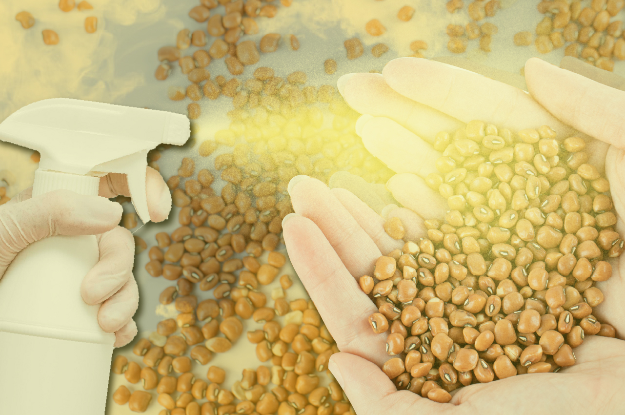 Uso dos óleos essenciais para a proteção de sementes e grão na agricultura orgânica