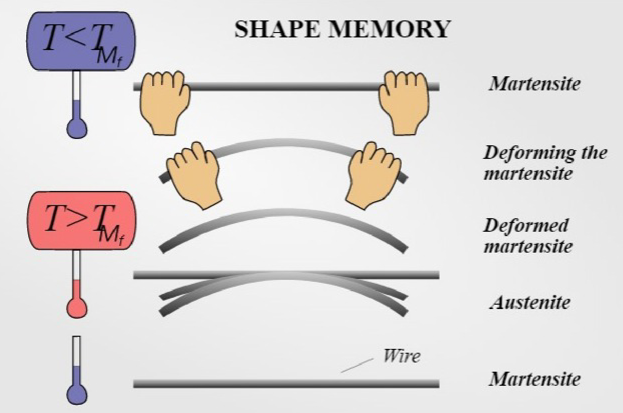Ligas com memória de forma: fundamentos, aplicações e modelagem matemática