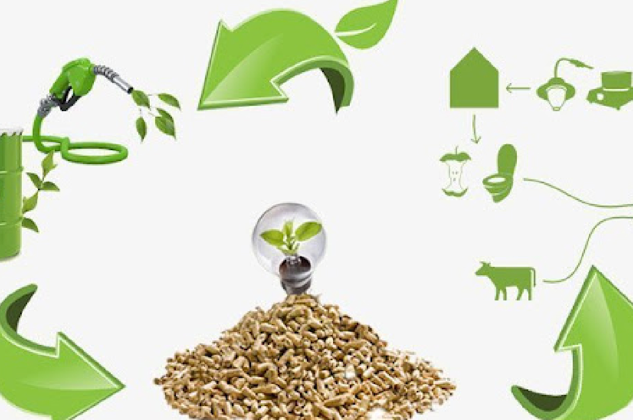 Biomassa residual no meio rural: uso racional da energia e promoção do desenvolvimento sustentável