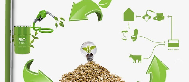 Biomassa residual no meio rural: uso racional da energia e promoção do desenvolvimento sustentável