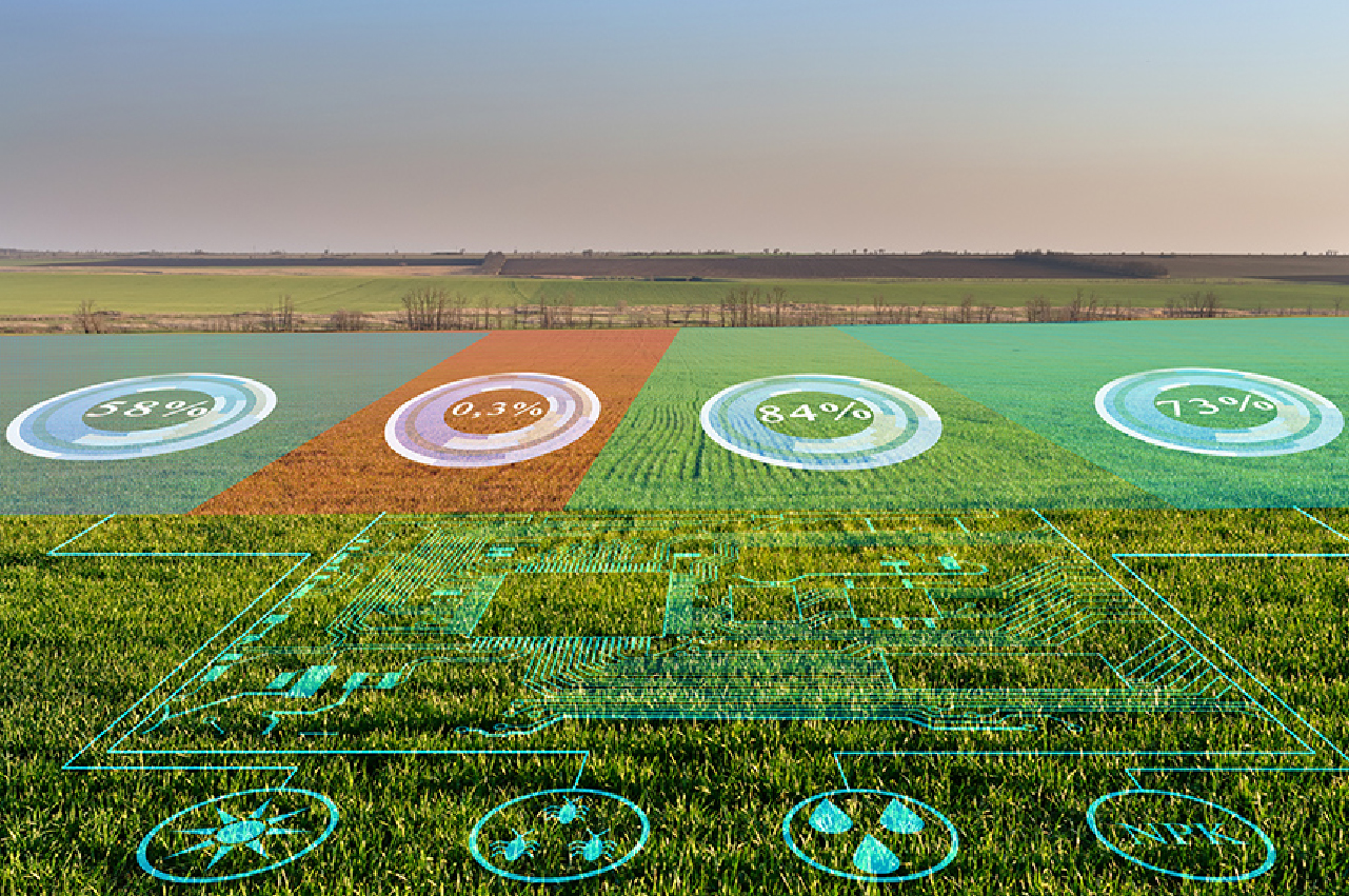 Agricultura e sustentabilidade na era da inteligência artificial